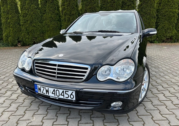 Mercedes-Benz Klasa C cena 22900 przebieg: 195777, rok produkcji 2005 z Krynki małe 529